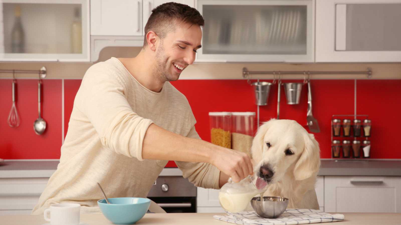Man feeding Dog