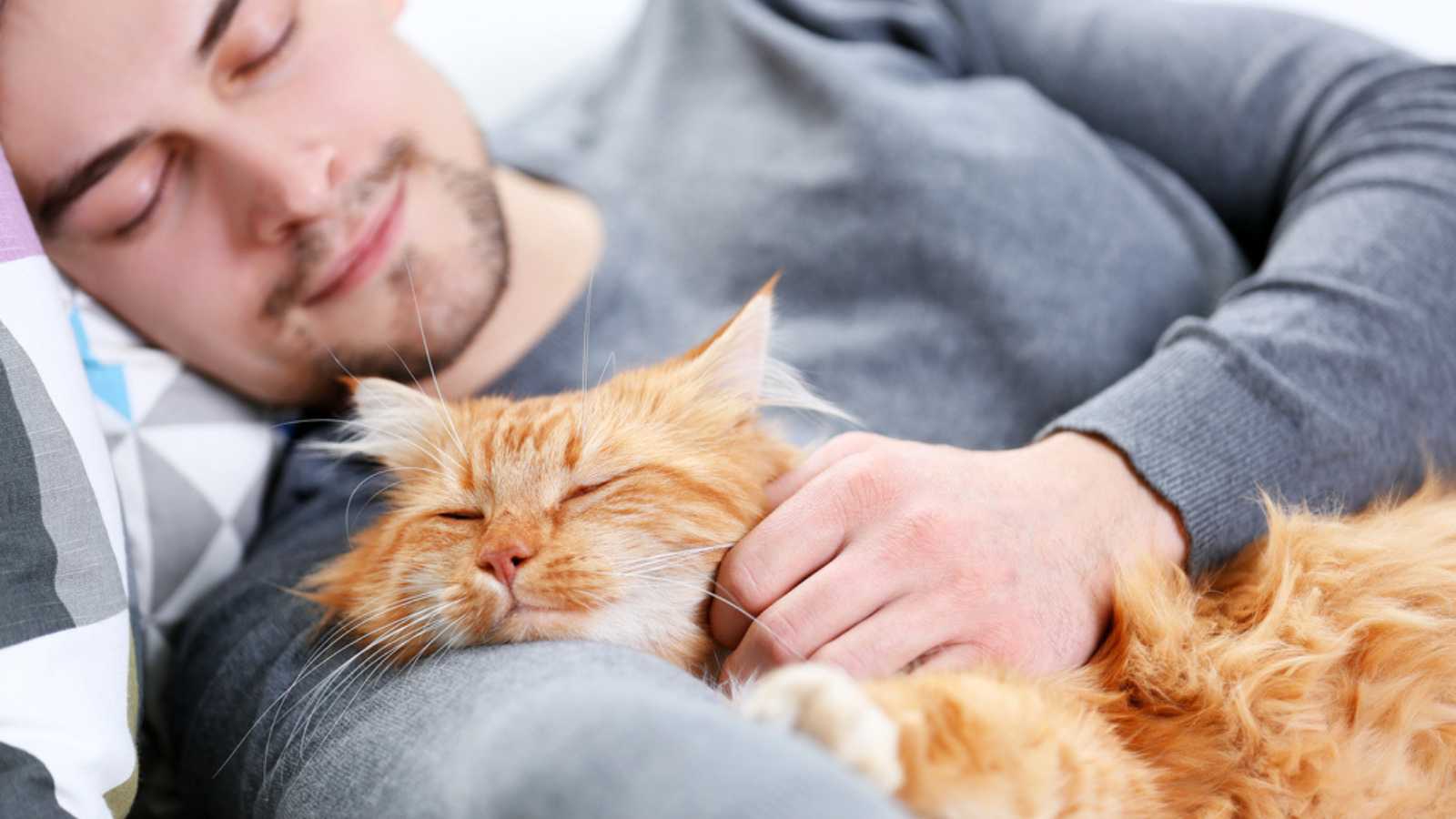 Man sleeping with cat