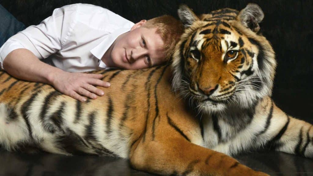 Man laying on Tiger