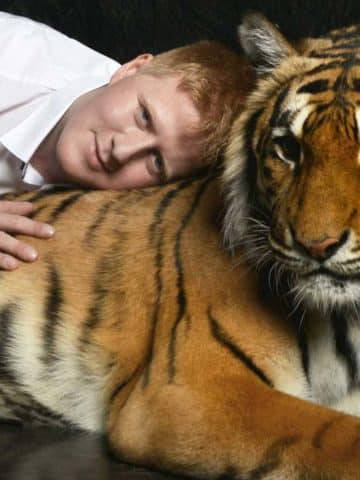 Man laying on Tiger