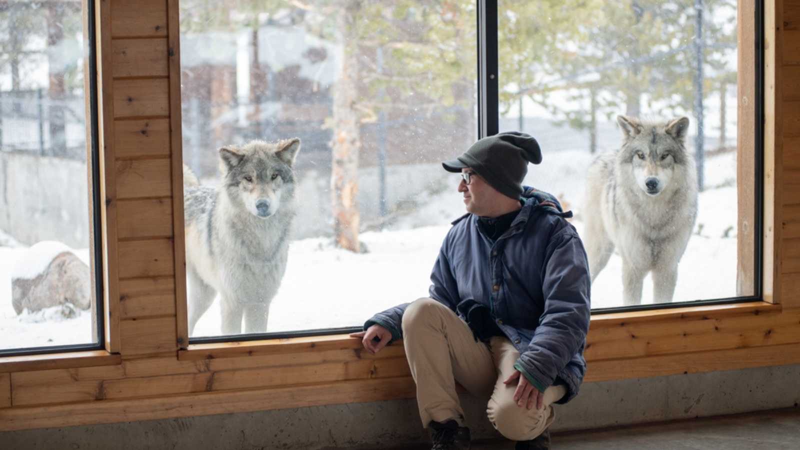 Man watching wolf