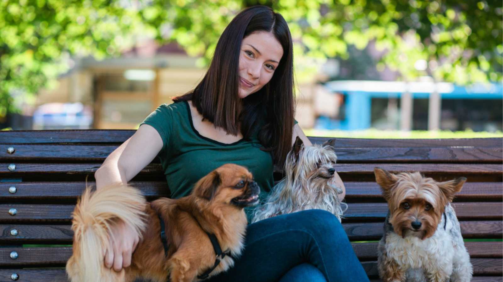Woman with dogs in a park