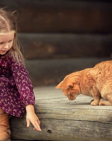 little girl and cat