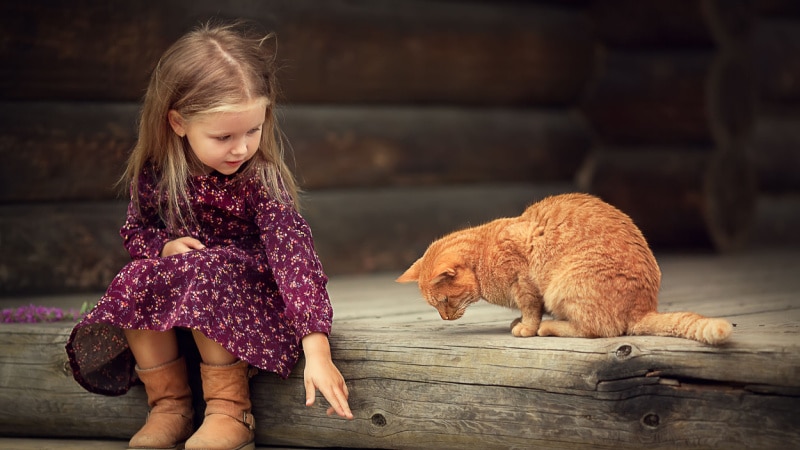 little girl and cat