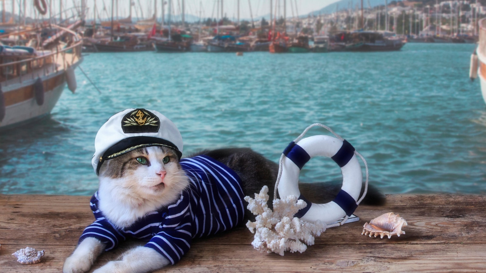 Captain of the boat Cat