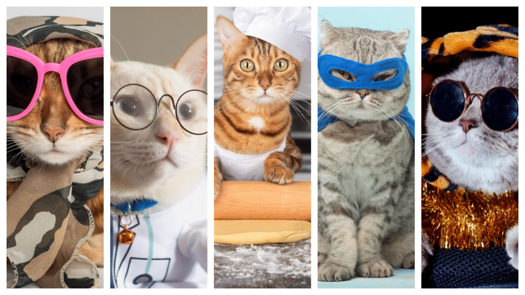 cats dressed in costumes