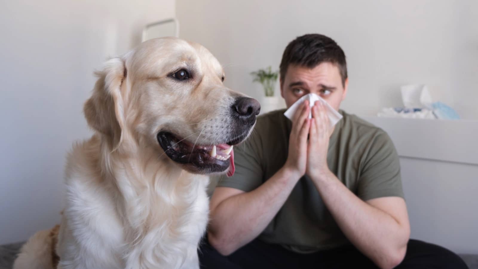 Man with dog sneezing
