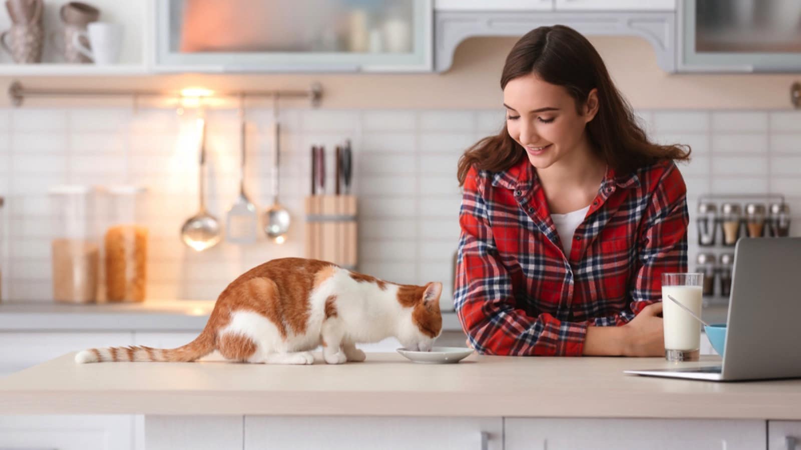 Woman feeding cat on table
