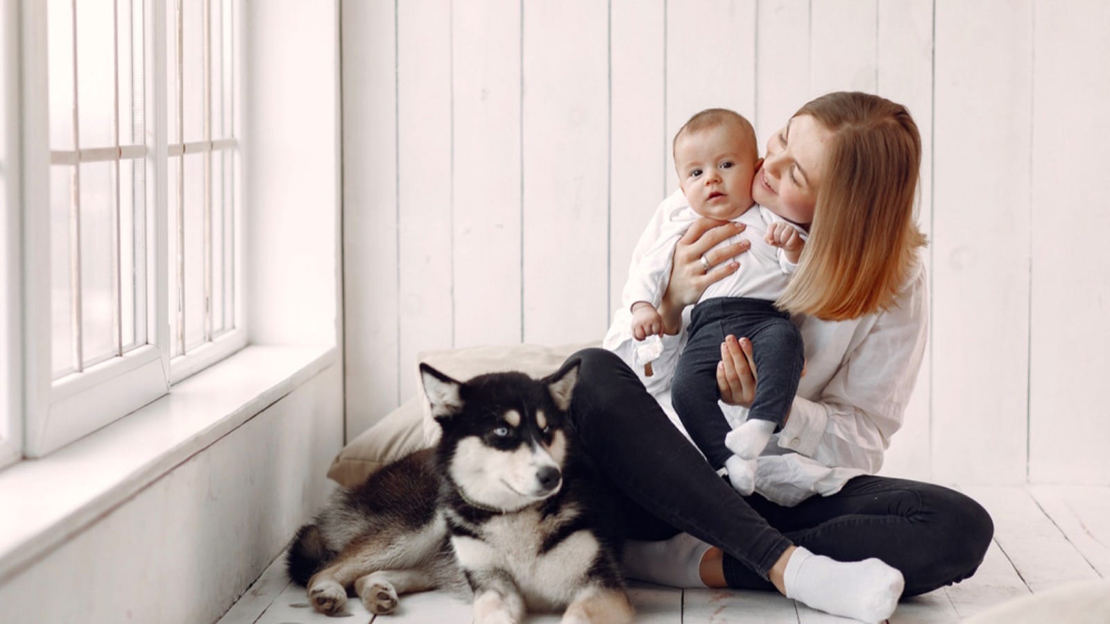 Woman holding baby when dog is near